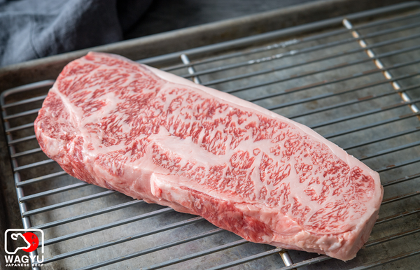 A5 Japanese Wagyu Beef Striploin Steaks | Authentic Japanese Wagyu Beef | The Wagyu Shop